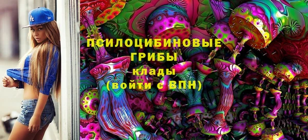 спиды Кулебаки