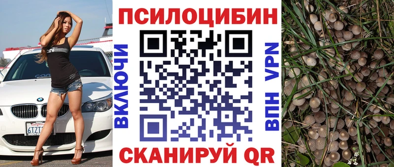 Псилоцибиновые грибы Psilocybe  Лакинск 
